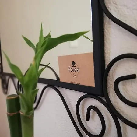 Forest 22 كافالا