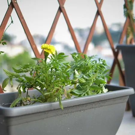 Forest 22 كافالا