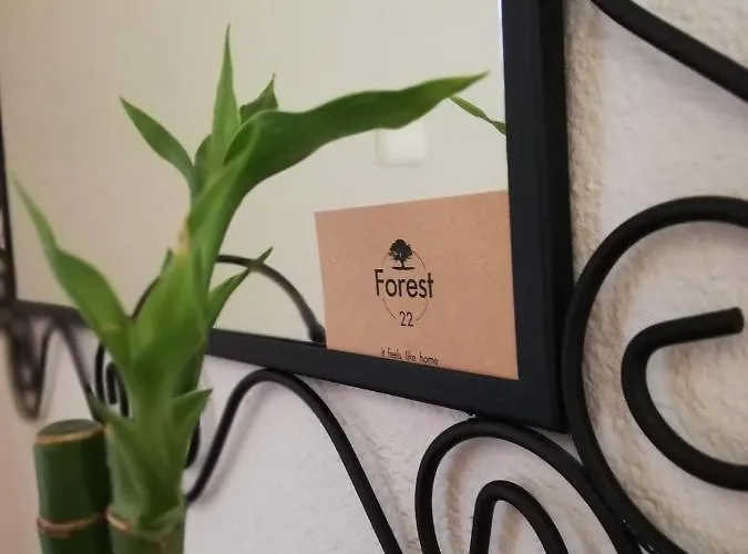 Forest 22 Kavala