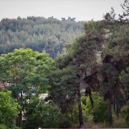 Forest 22 דירה