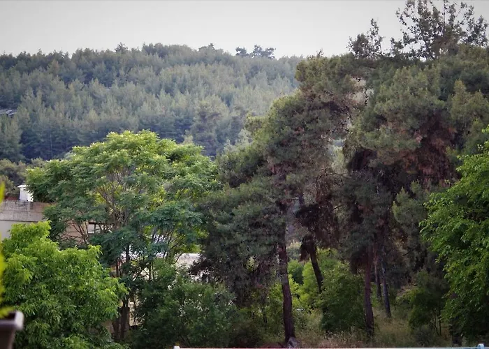 Forest 22 Apartamento